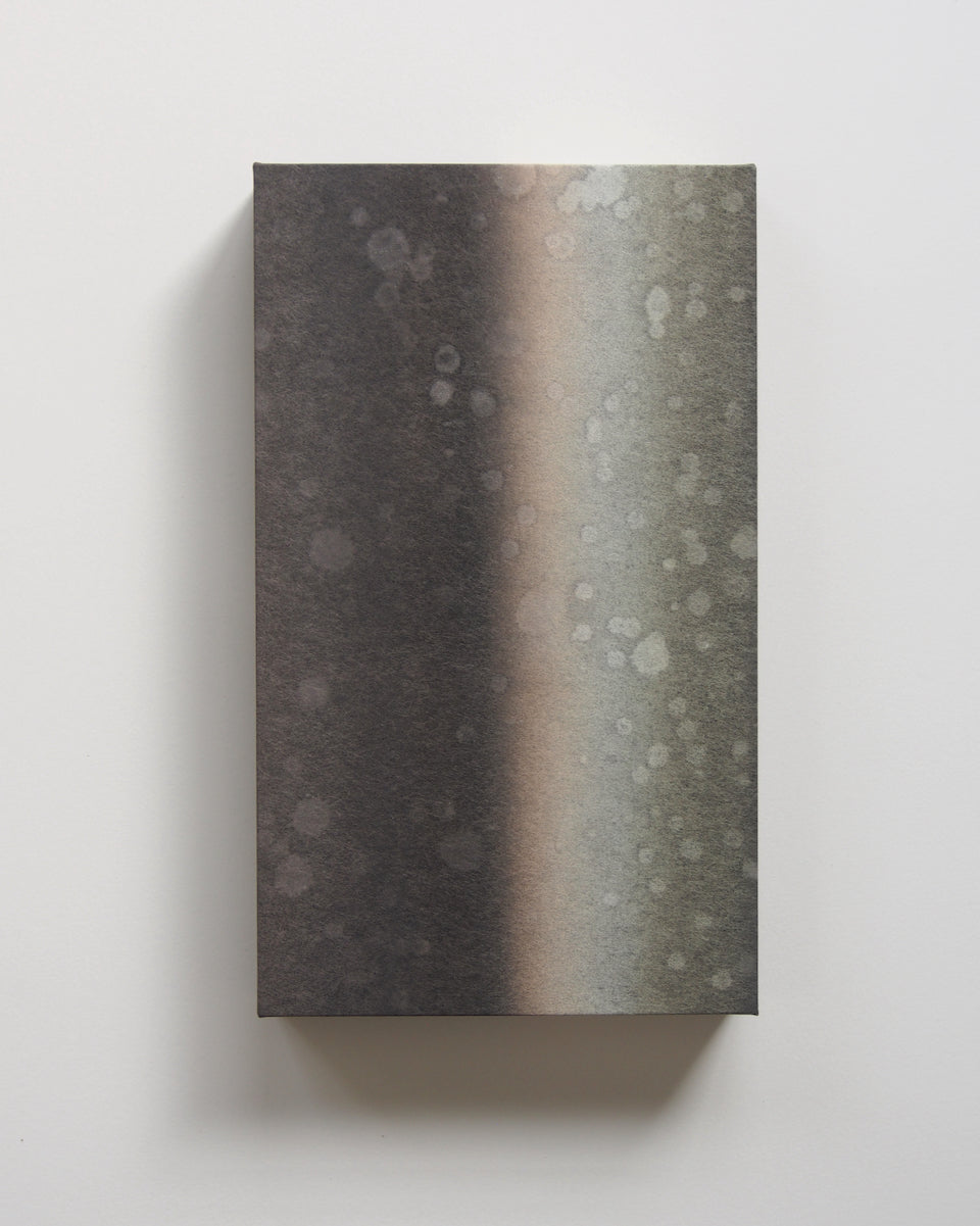 Ayana Mizuno "Translucent scenery no.7, 2025"