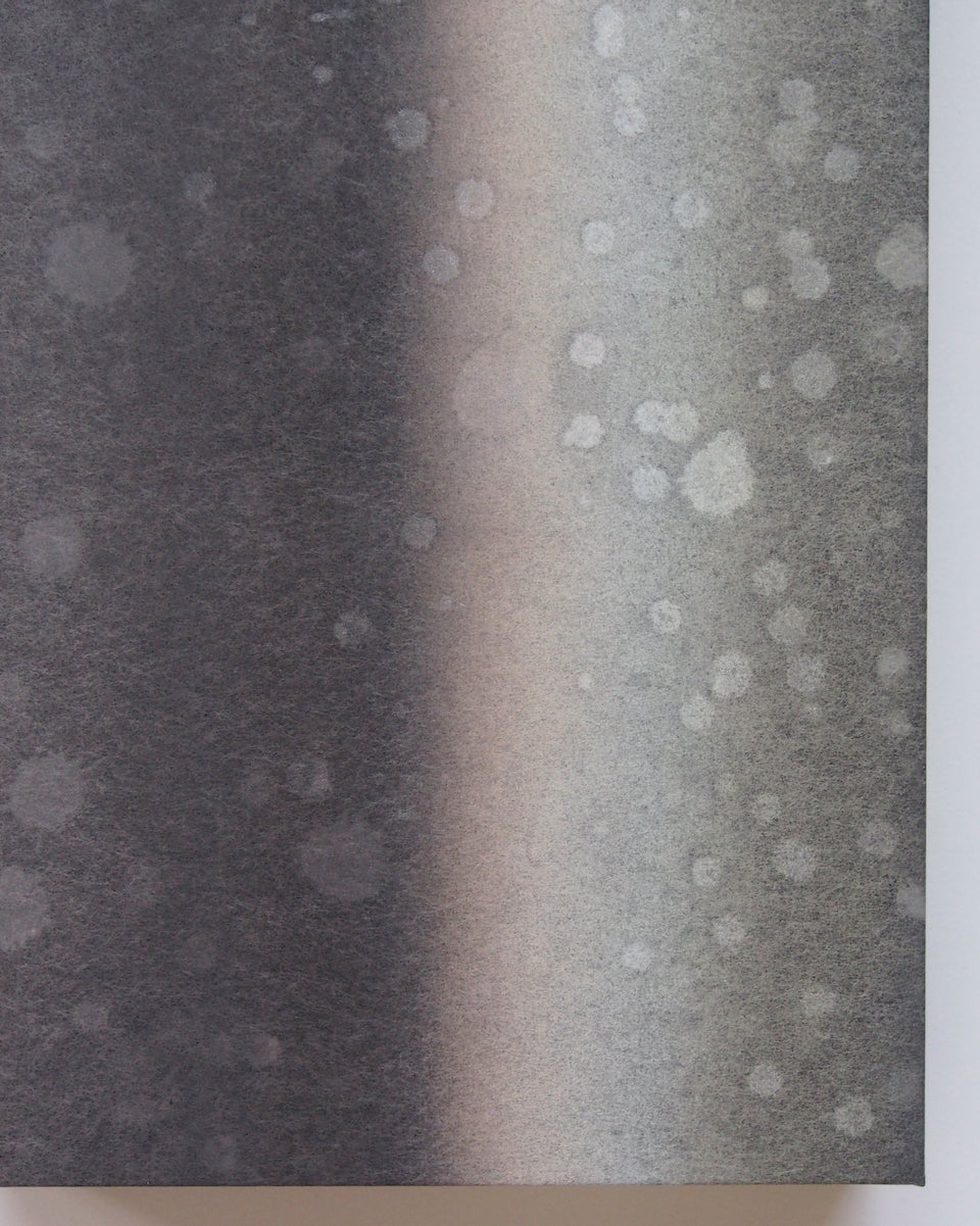 Ayana Mizuno "Translucent scenery no.7, 2025"