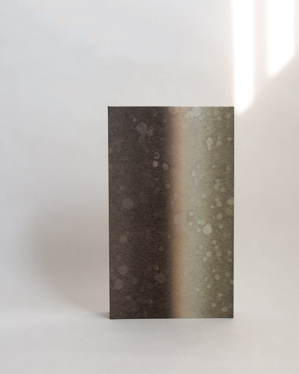 Ayana Mizuno "Translucent scenery no.7, 2025"