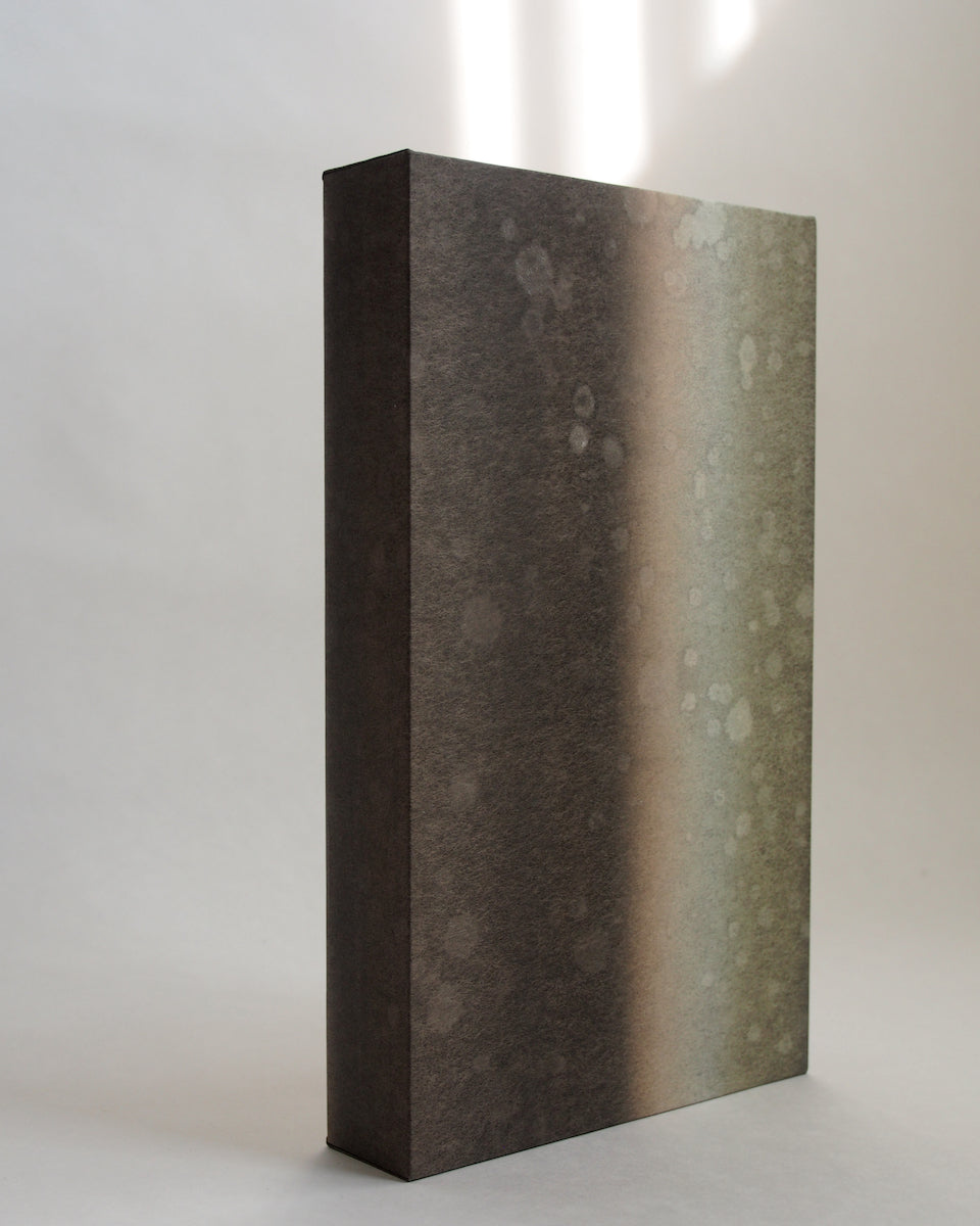 Ayana Mizuno "Translucent scenery no.7, 2025"