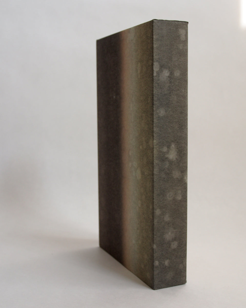 Ayana Mizuno "Translucent scenery no.7, 2025"