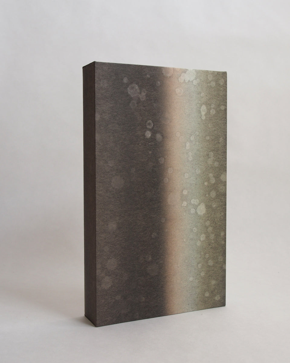 Ayana Mizuno "Translucent scenery no.7, 2025"