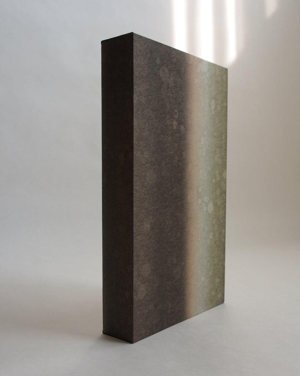 Ayana Mizuno "Translucent scenery no.7, 2025"