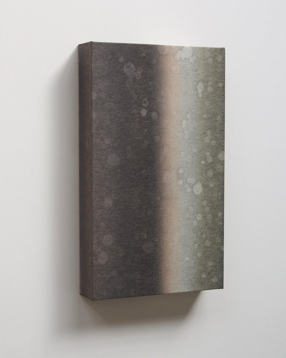 Ayana Mizuno "Translucent scenery no.7, 2025"