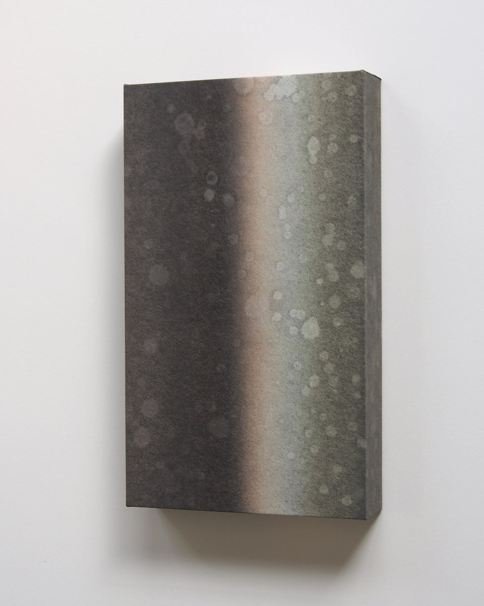 Ayana Mizuno "Translucent scenery no.7, 2025"