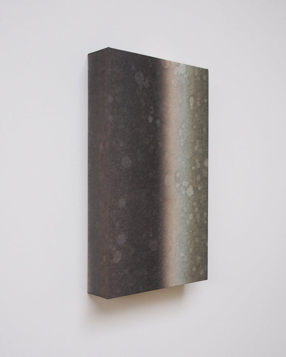 Ayana Mizuno "Translucent scenery no.7, 2025"
