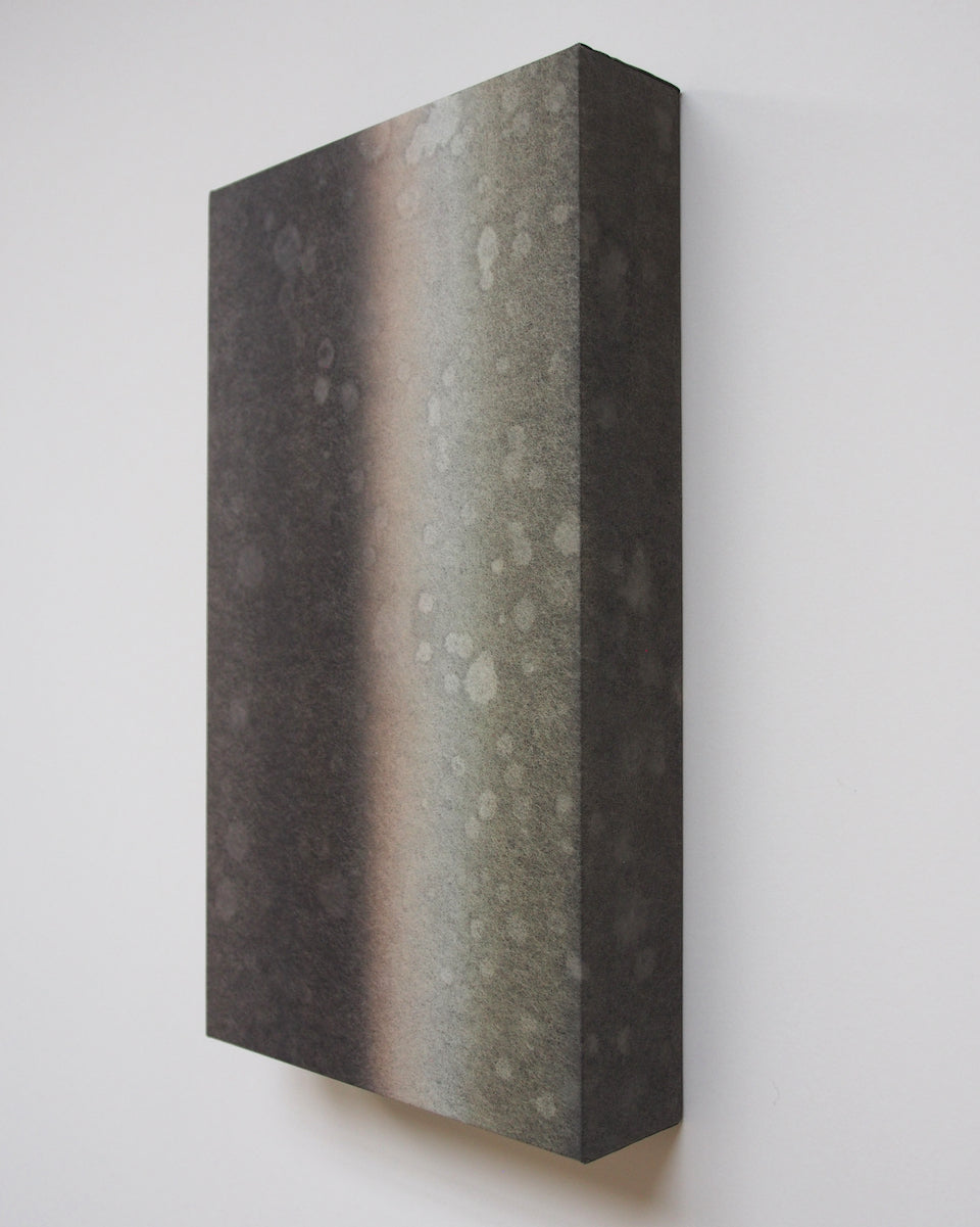 Ayana Mizuno "Translucent scenery no.7, 2025"