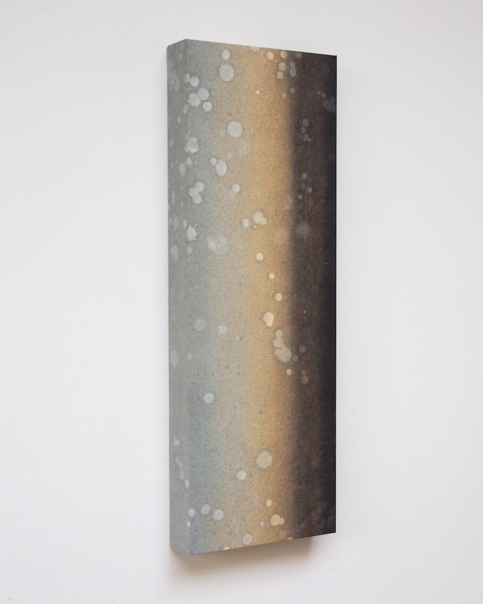 Ayana Mizuno "Translucent scenery no.9, 2025"