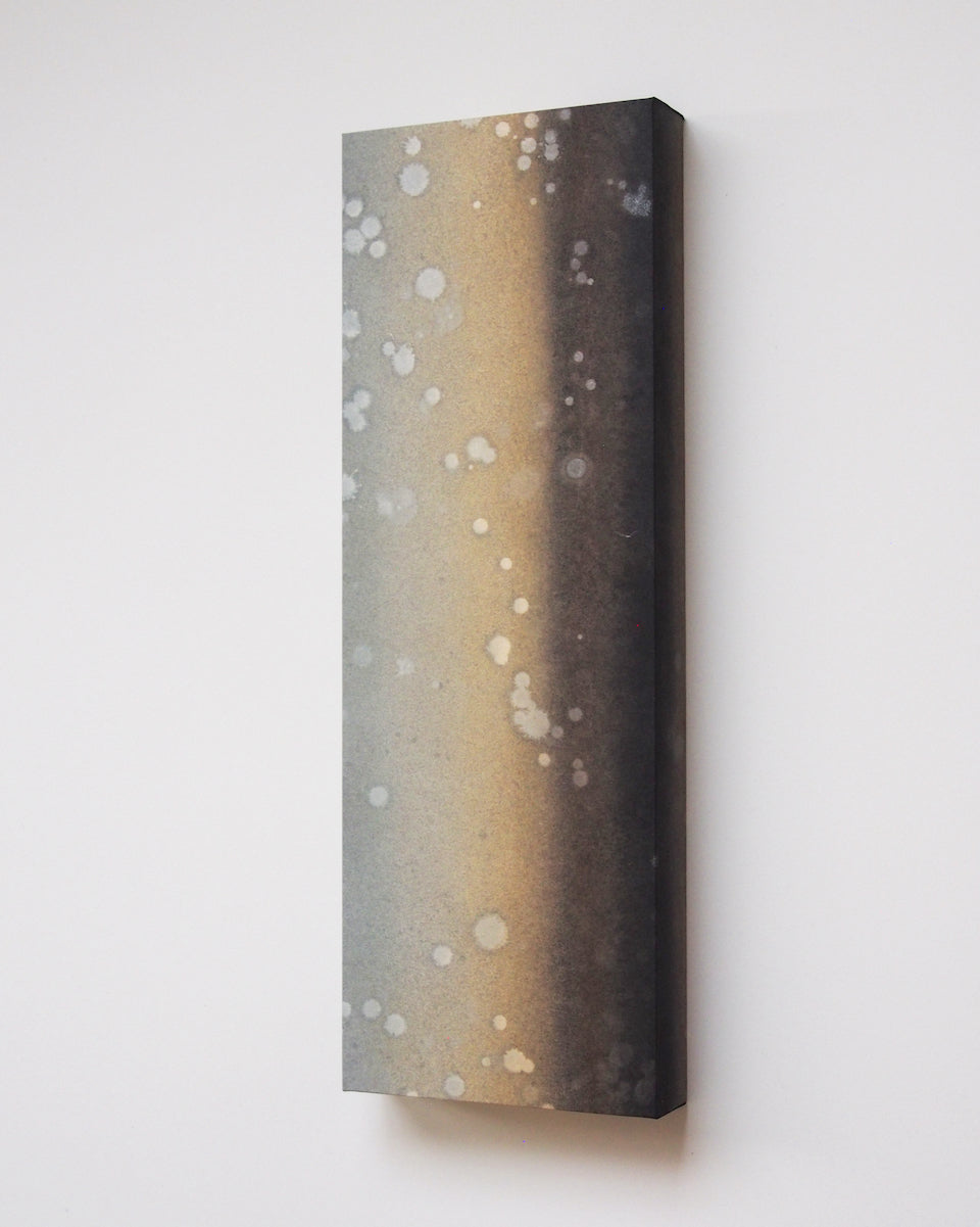 Ayana Mizuno "Translucent scenery no.9, 2025"