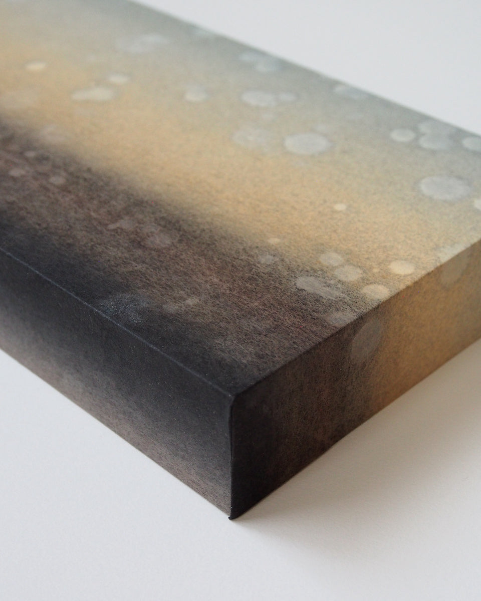 Ayana Mizuno "Translucent scenery no.9, 2025"