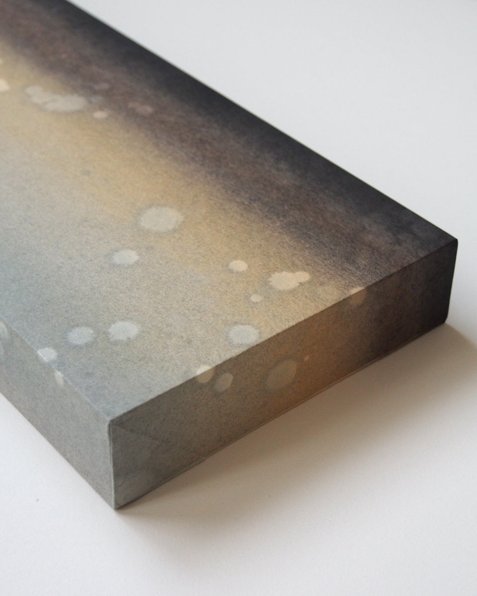 Ayana Mizuno "Translucent scenery no.9, 2025"