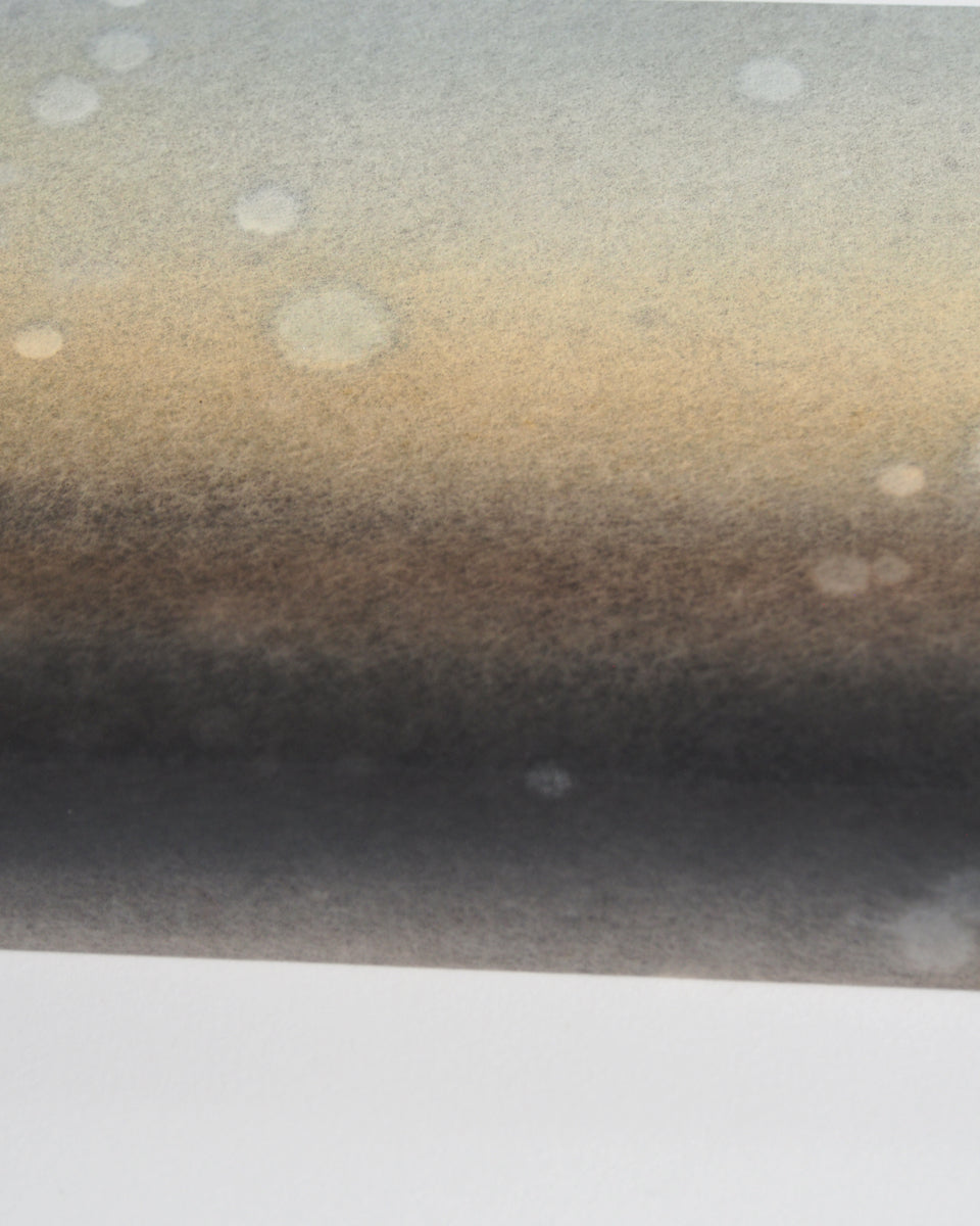 Ayana Mizuno "Translucent scenery no.9, 2025"