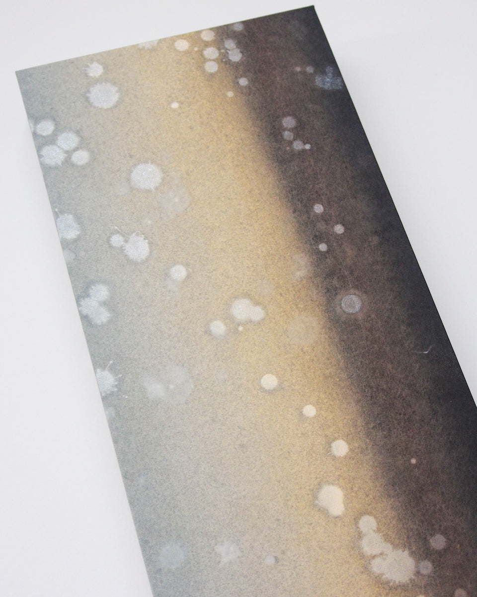 Ayana Mizuno "Translucent scenery no.9, 2025"