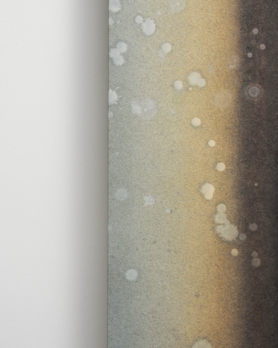 Ayana Mizuno "Translucent scenery no.9, 2025"