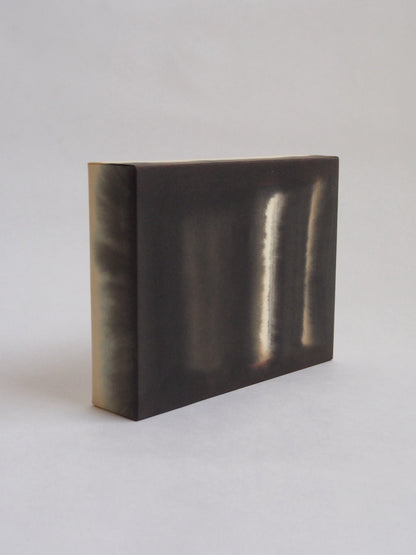 Ayana Mizuno "the light beyond no.1, 2025"