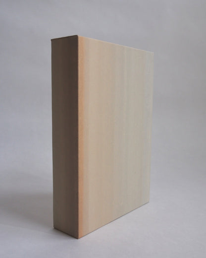 Ayana Mizuno "COLORS no.4, 2025"