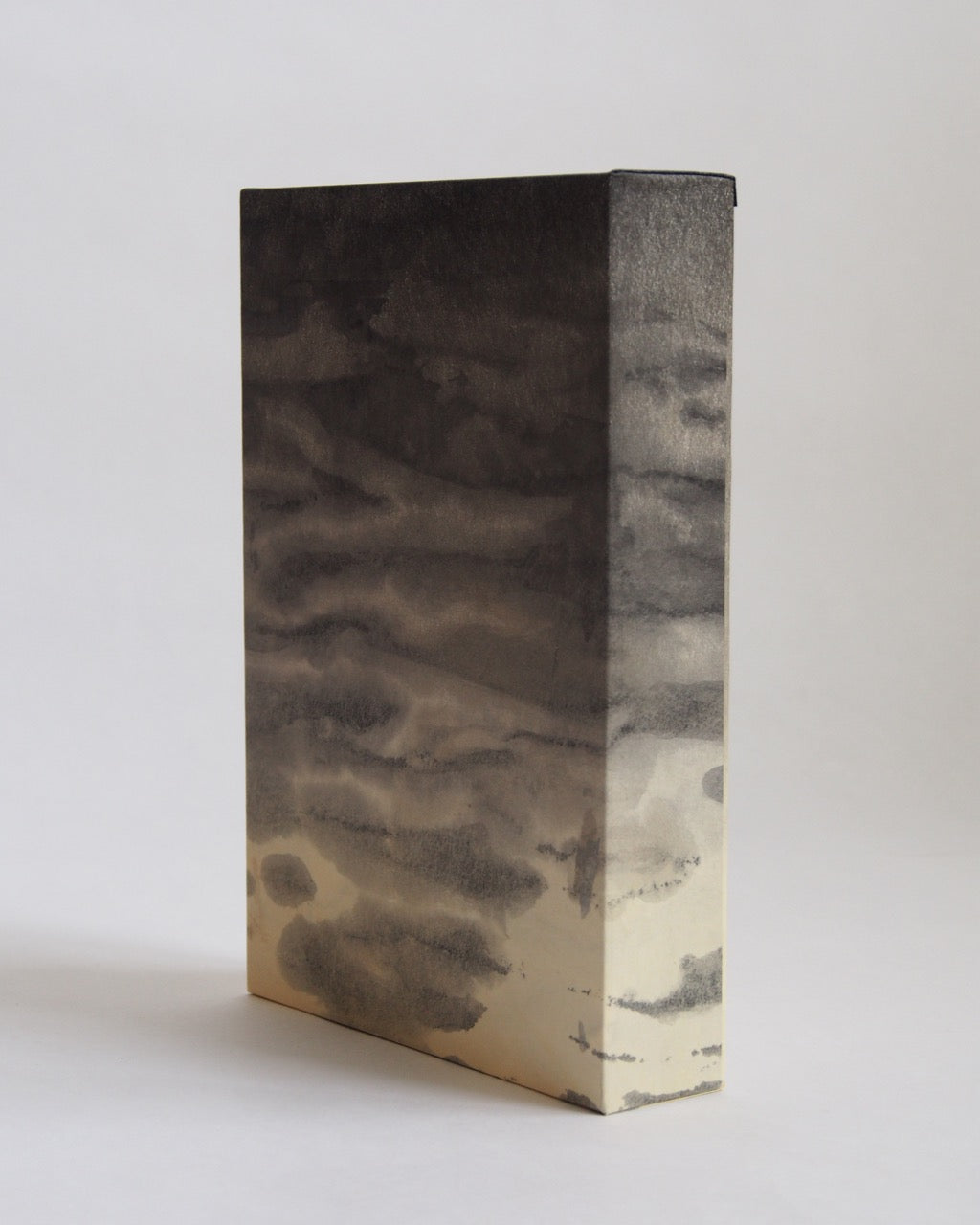 Ayana Mizuno "Translucent scenery no.4, 2025"