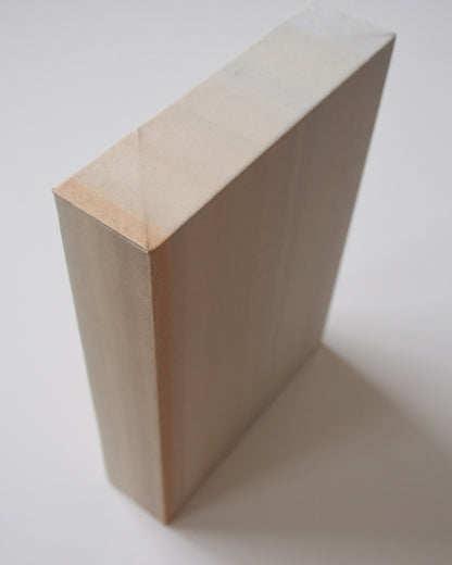 Ayana Mizuno "COLORS no.4, 2025"