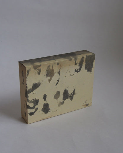 Ayana Mizuno "Translucent scenery no.3, 2025"