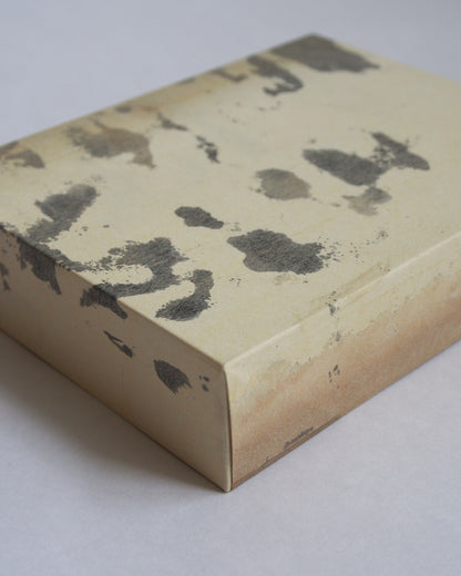 Ayana Mizuno "Translucent scenery no.3, 2025"