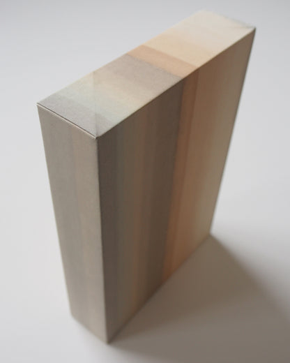 Ayana Mizuno "COLORS no.3, 2025"