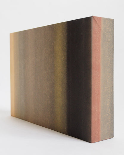 Ayana Mizuno "COLORS no.6, 2025"