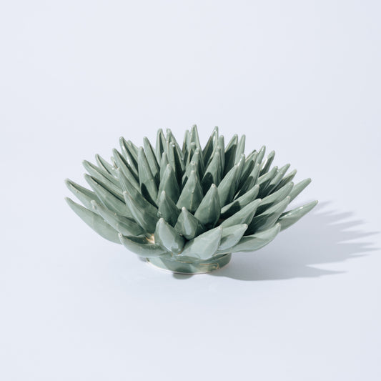 Object succulents オブジェ