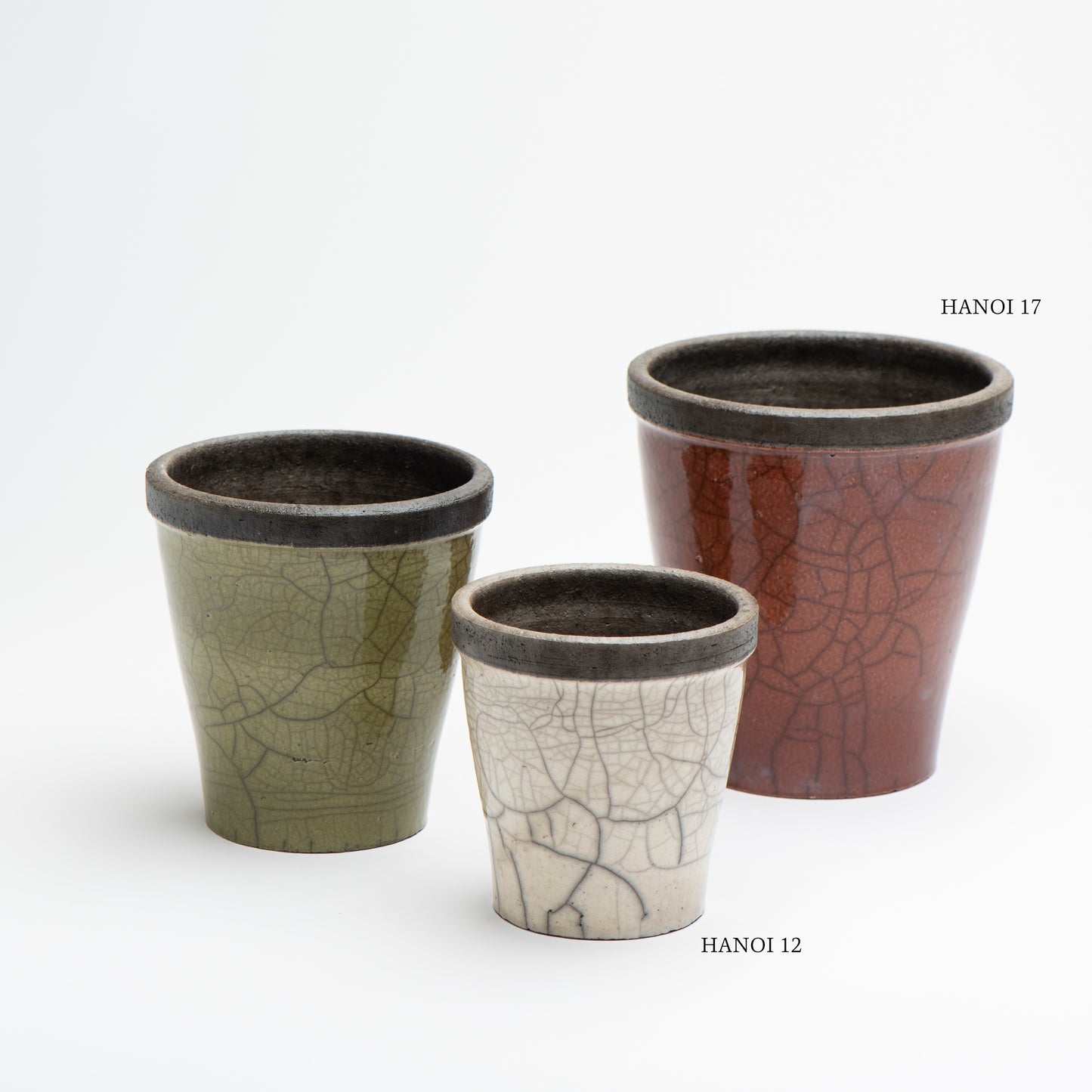 DOMANI HANOI 17 Green Set［モンステラブッシュ］