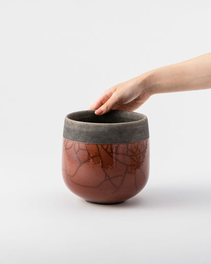 DOMANI MINSK 16 Green Set［モンステラブッシュ］