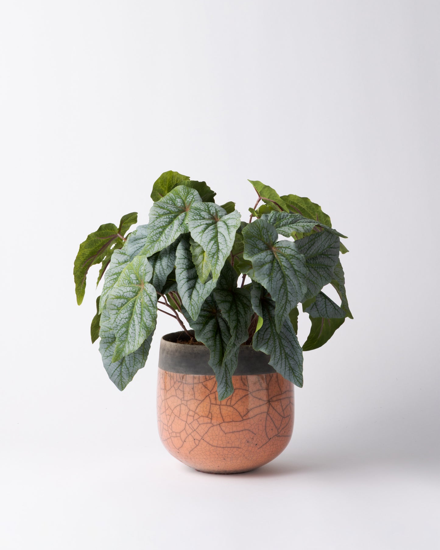 DOMANI MINSK 16 Green Set［シルバーヒュー］