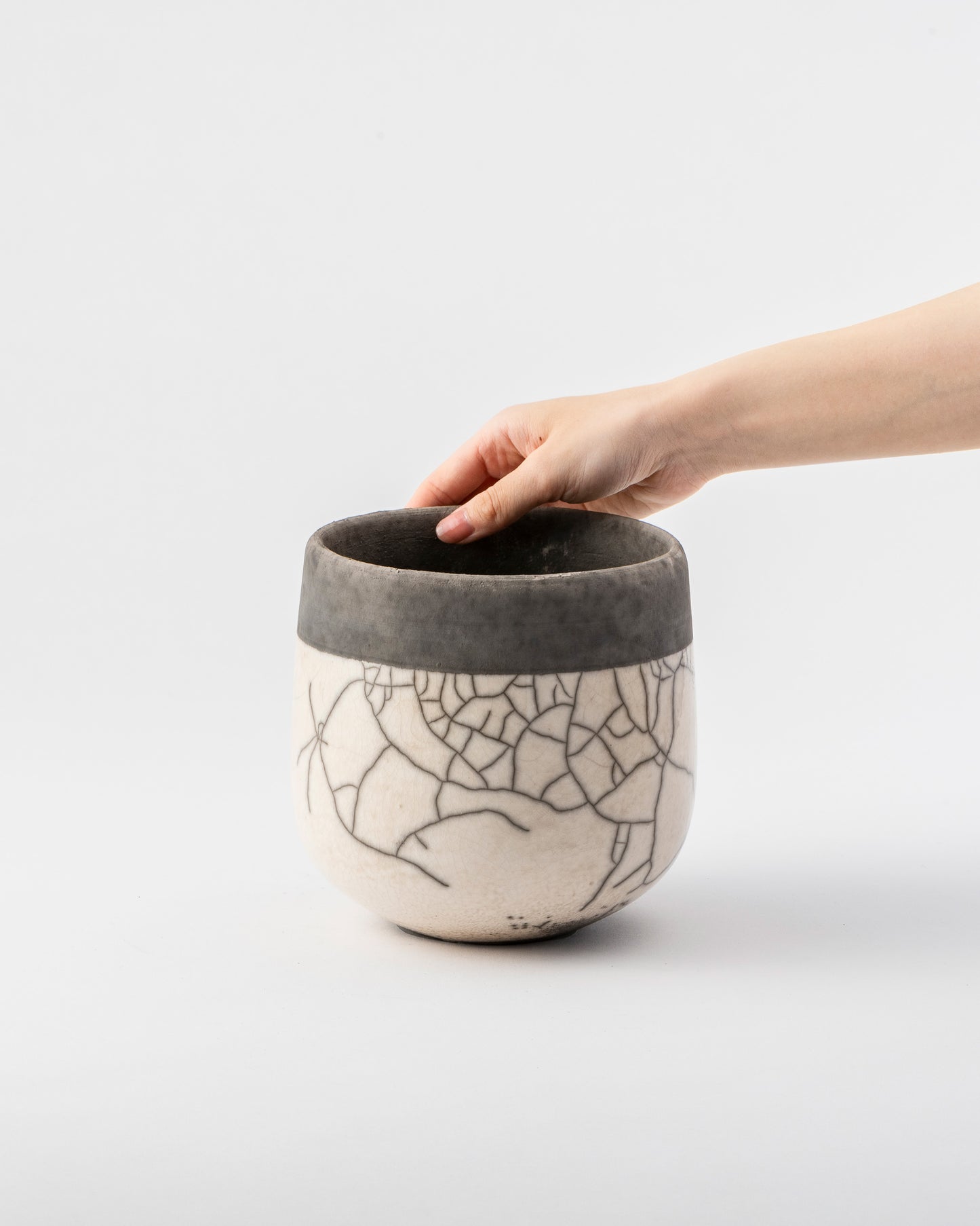 DOMANI MINSK 16 Green Set［モンステラブッシュ］