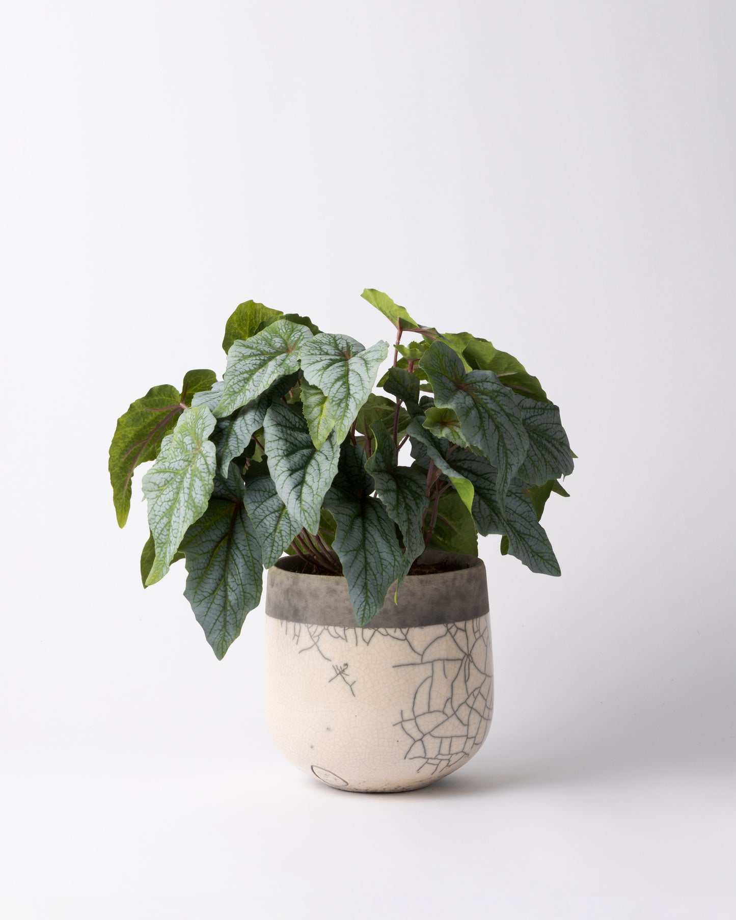 DOMANI MINSK 16 Green Set［シルバーヒュー］