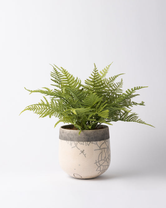 DOMANI MINSK 16 Green Set［アスパラガスファーンブッシュ］