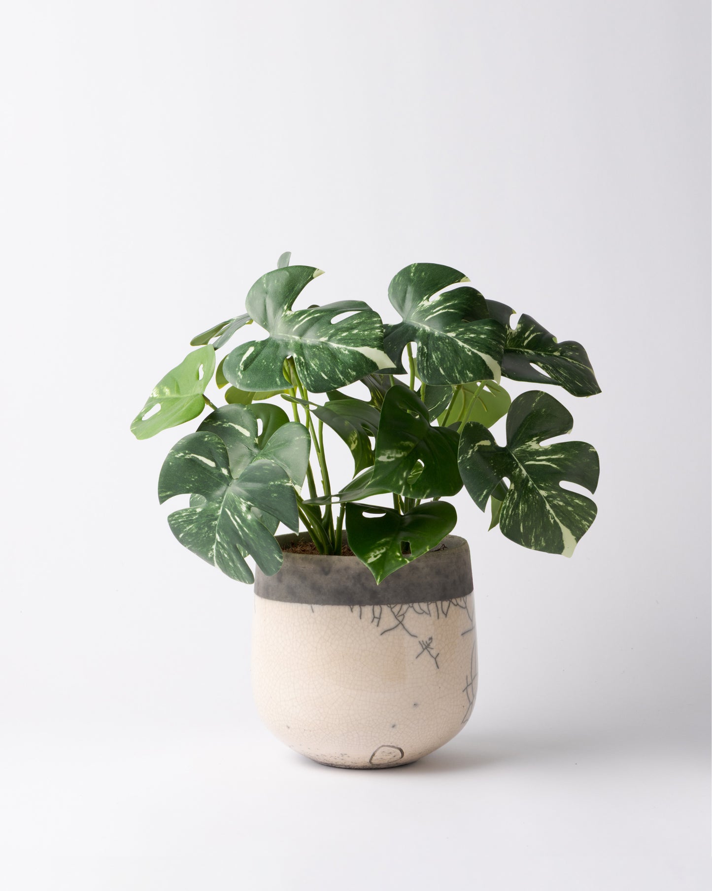 DOMANI MINSK 16 Green Set［モンステラブッシュ］