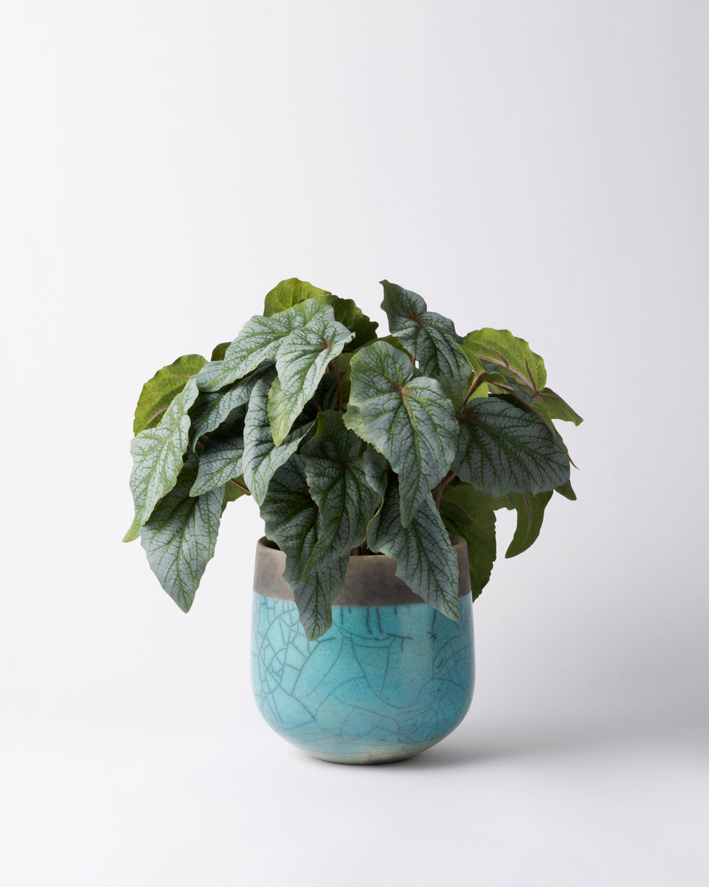 DOMANI MINSK 16 Green Set［シルバーヒュー］