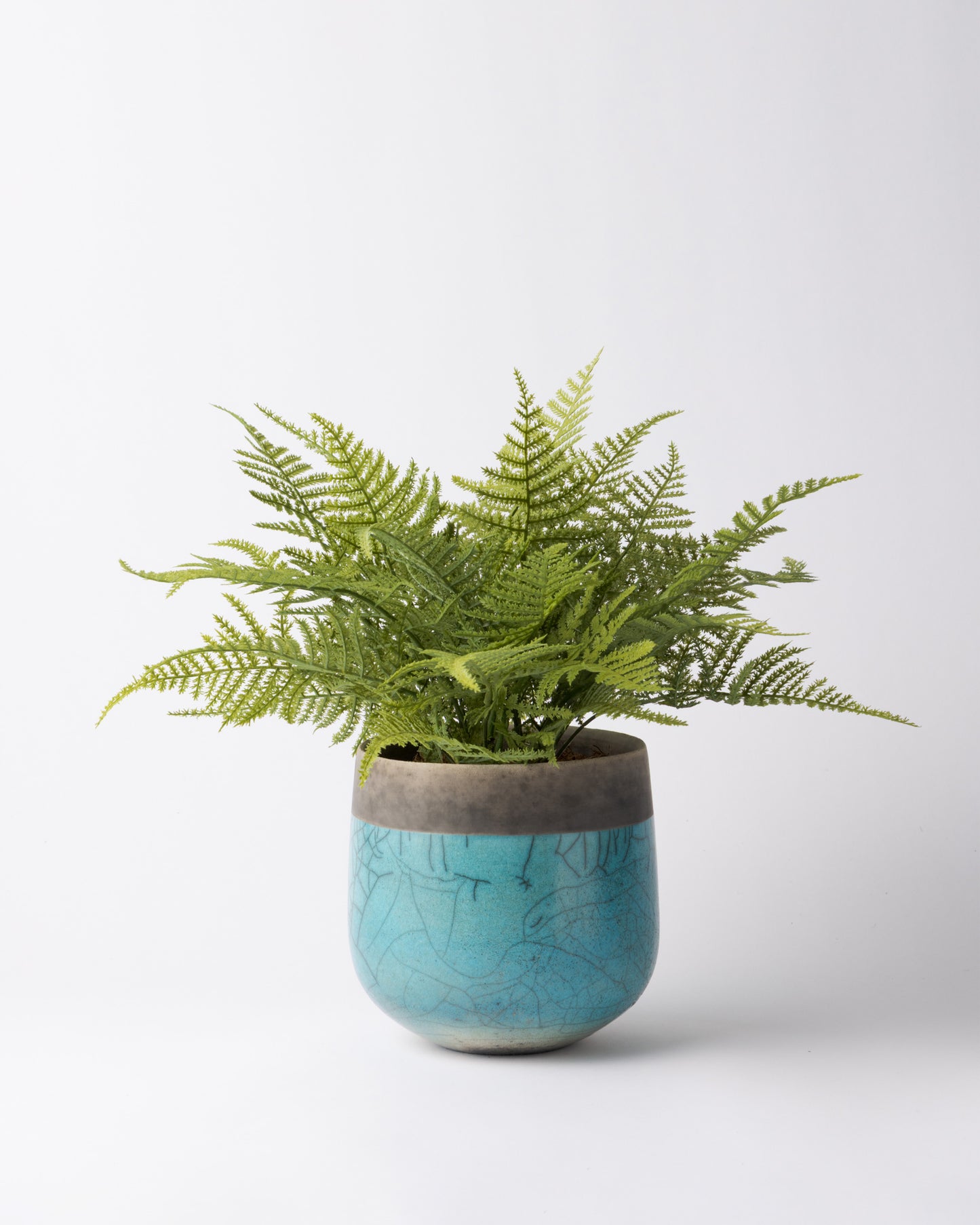 DOMANI MINSK 16 Green Set［アスパラガスファーンブッシュ］