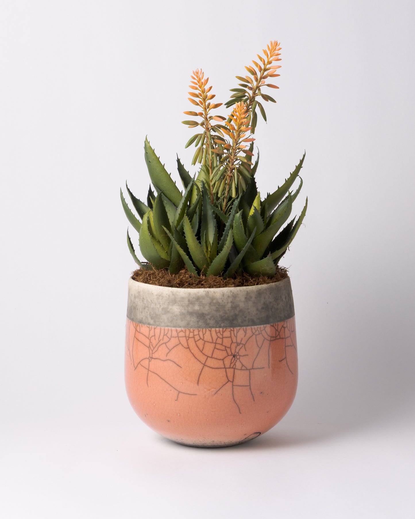 DOMANI MINSK 20 Green Set［アロエピンク花］