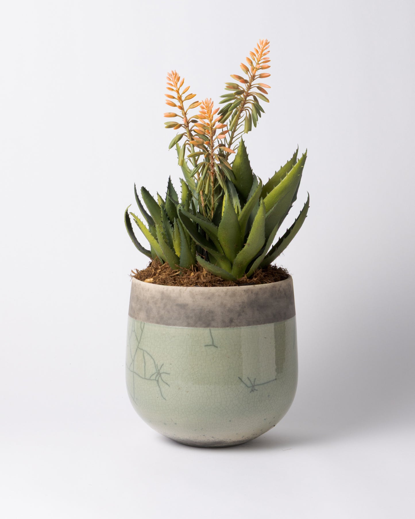 DOMANI MINSK 20 Green Set［アロエピンク花］