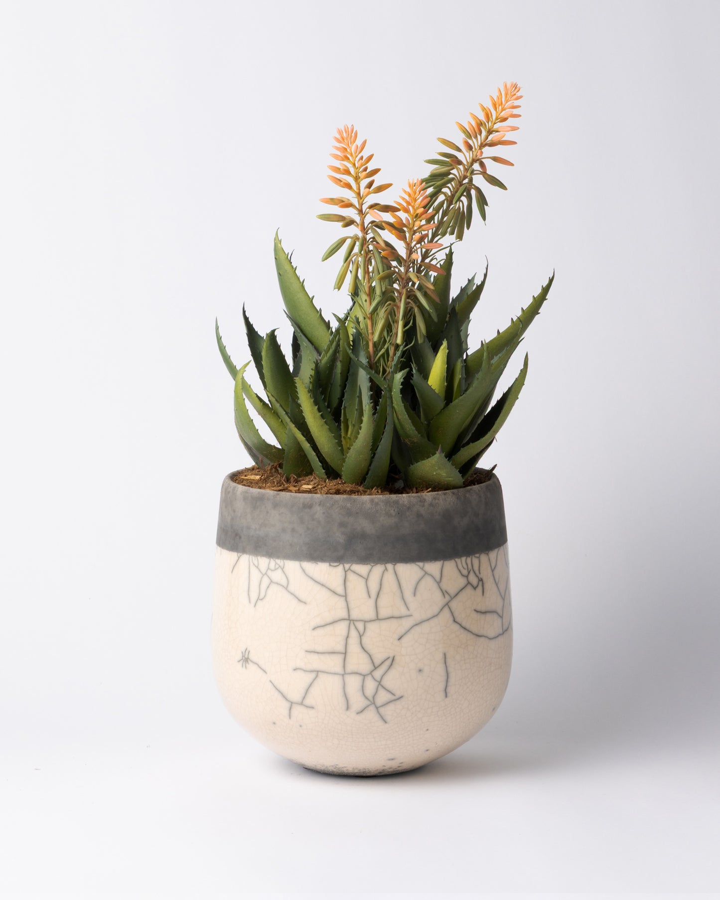 DOMANI MINSK 20 Green Set［アロエピンク花］