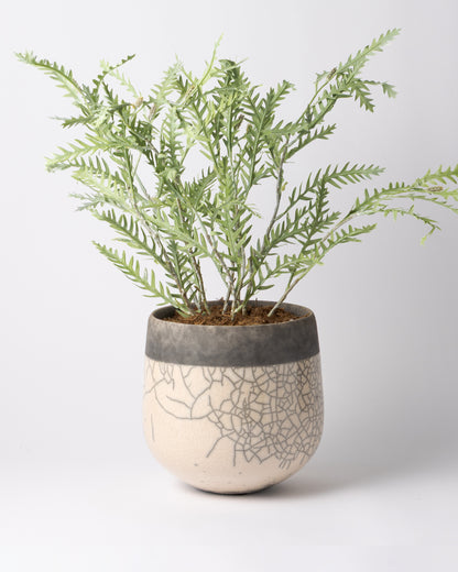 DOMANI MINSK 20 Green Set［グレビレアステム］