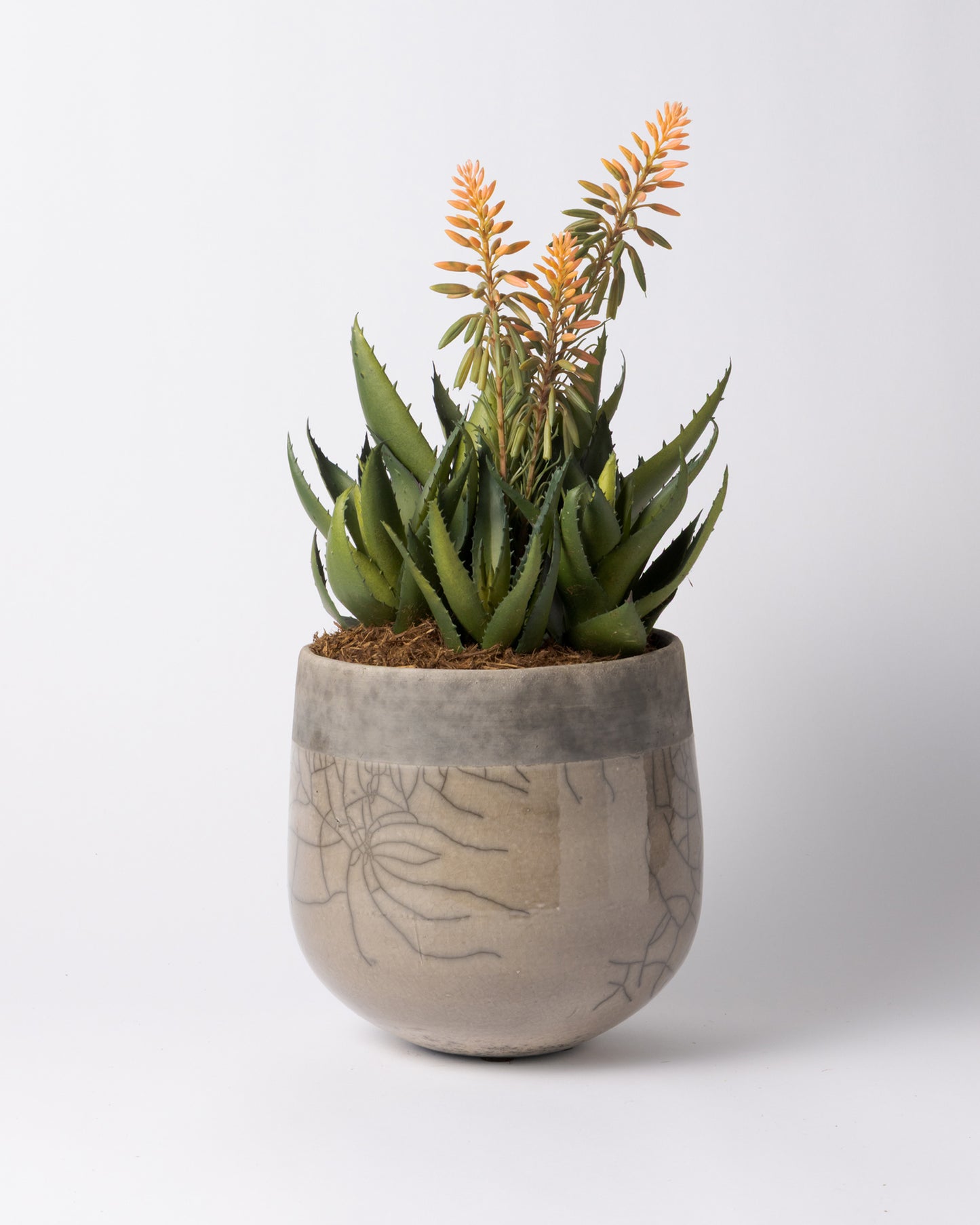 DOMANI MINSK 20 Green Set［アロエピンク花］