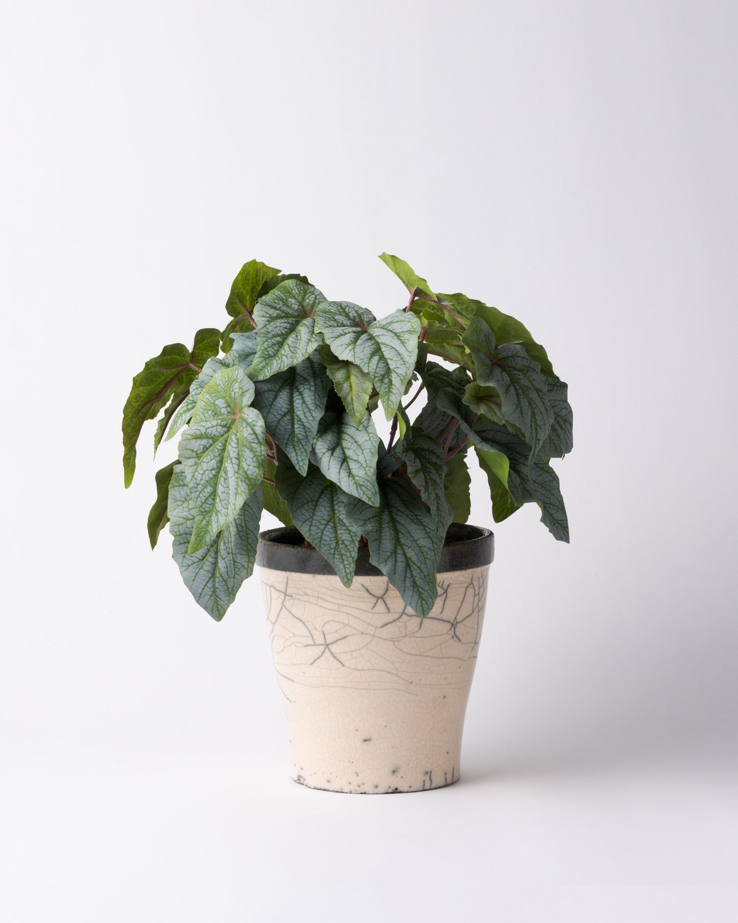 DOMANI HANOI 17 Green Set［シルバーヒュー］