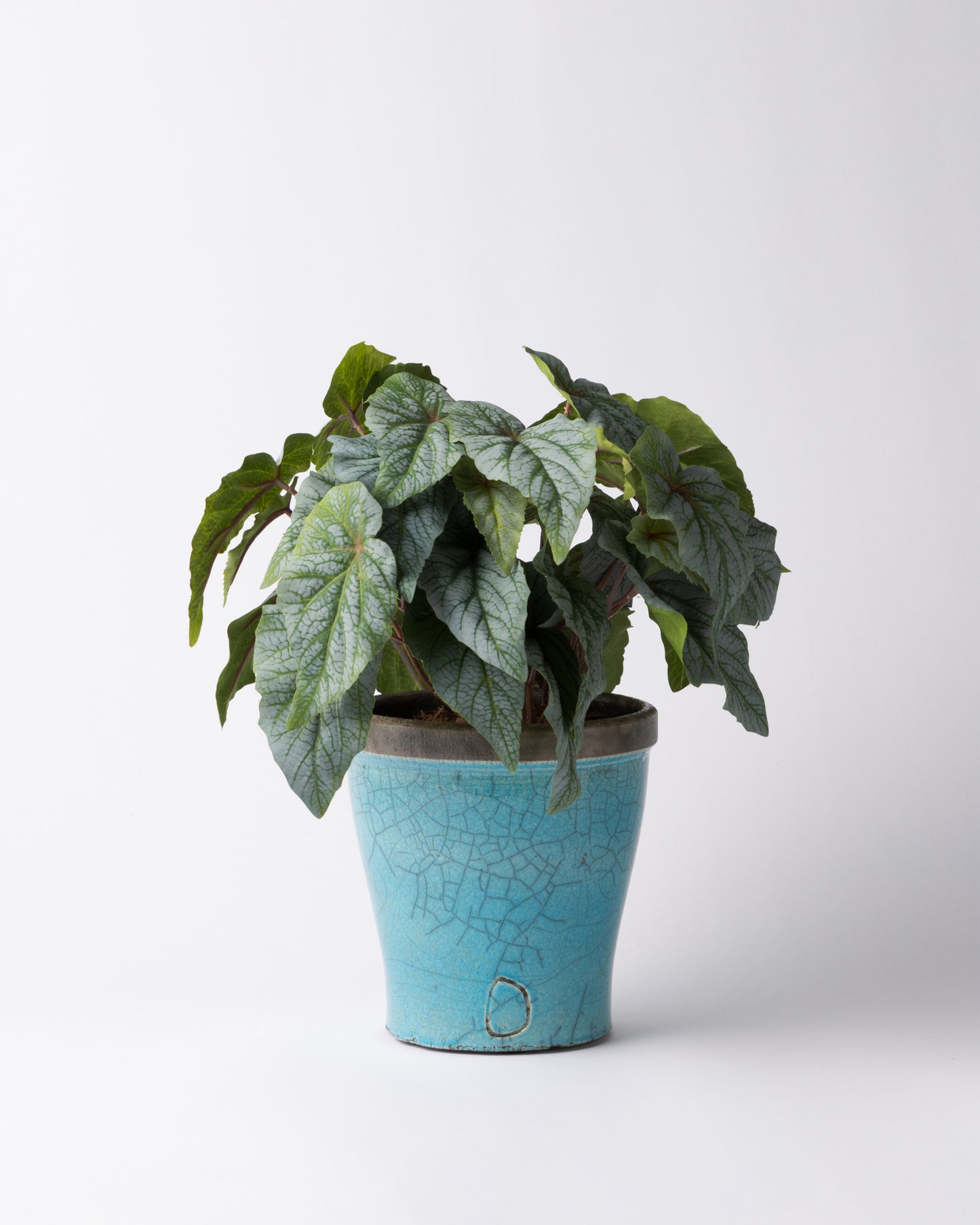 DOMANI HANOI 17 Green Set［シルバーヒュー］