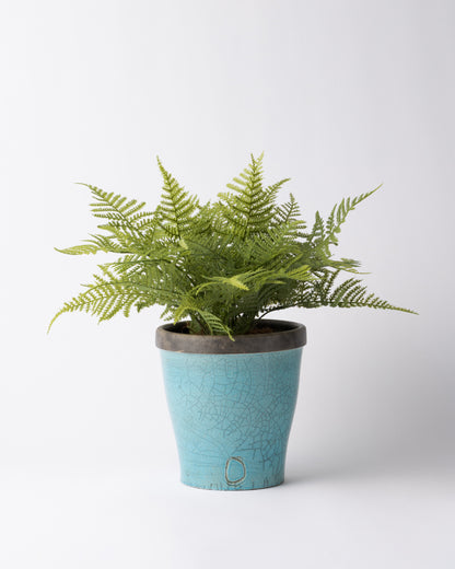 DOMANI HANOI 17 Green Set［アスパラガスファーンブッシュ］