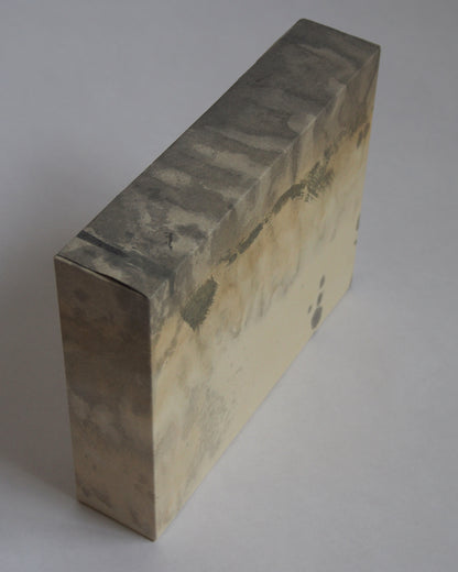 Ayana Mizuno "Translucent scenery no.1, 2025"