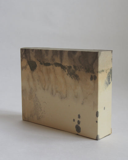 Ayana Mizuno "Translucent scenery no.1, 2025"