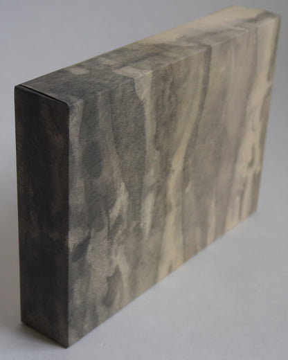 Ayana Mizuno "Translucent scenery no.5, 2025"
