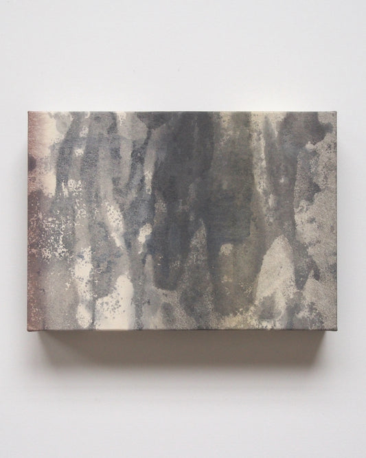 Ayana Mizuno "Translucent scenery no.6, 2025"