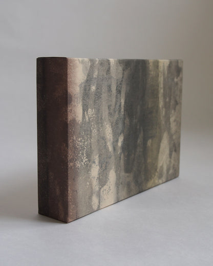 Ayana Mizuno "Translucent scenery no.6, 2025"