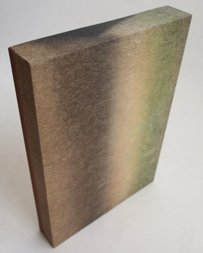 Ayana Mizuno "Translucent scenery no.8, 2025"